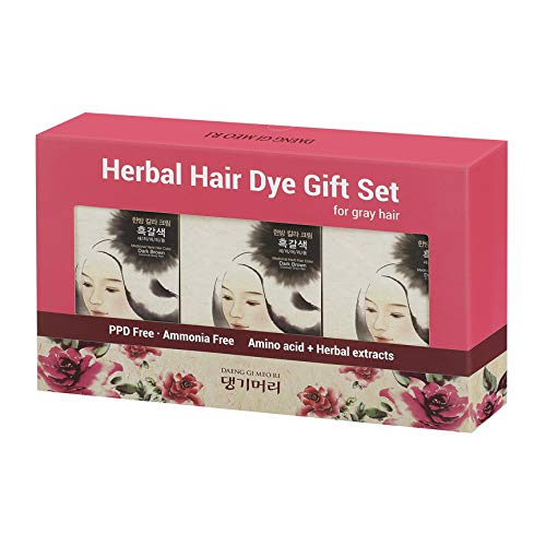 Daeng Gi Meo Ri Medicinal Herb Hair Color Gift Set - For Gray Hair Coverage [PPD & Ammonia FREE] Made in Korea