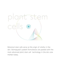 Load image into Gallery viewer, DermaQuest Essential Stem Cell Rebuilding Complex
