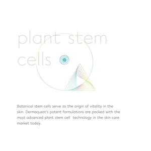 DermaQuest Essential Stem Cell Rebuilding Complex