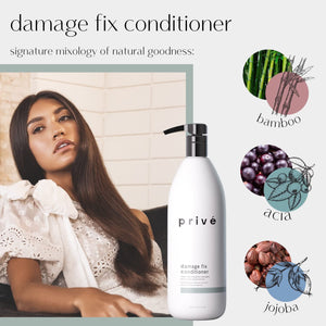 Privé Damage Fix Conditioner ( 32 Fluid Ounces / 946 Milliliters )- Repairs Dry and Over-Processed Hair From Within and Protects From Future Additional Damage