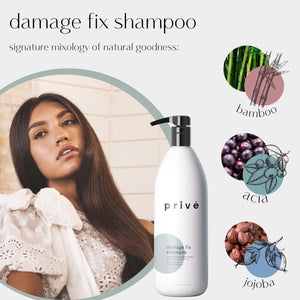 Privé Damage Fix Shampoo – Repair and Strengthen Damaged, Dull or Over Processed Hair from Within – Natural Ingredients – Vegan Cruelty-Free Color-Safe Shampoo (33.8oz)