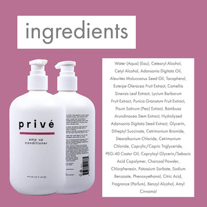 Privé Amp Up Conditioner – Cleansing & Volumizing Conditioner – Baobab Protein Conditioner – Infuse Hair with Weightless Volume and Wonderful Shine While Detangling Those Knots Away (16 oz)